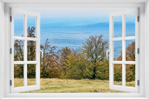 Fototapeta Naklejka Na Ścianę Okno 3D - autumn landscape with trees