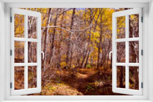 Fototapeta Naklejka Na Ścianę Okno 3D - Fall colors on the boreal forest, Quebec, Canada