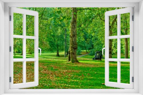 Fototapeta Naklejka Na Ścianę Okno 3D - グリーンパークの緑