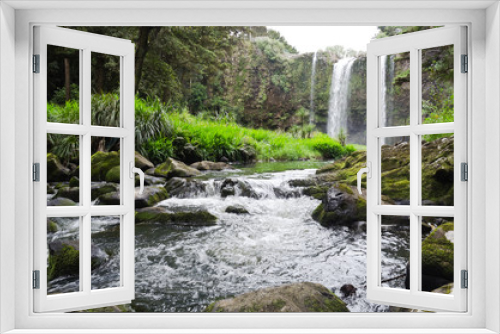 Fototapeta Naklejka Na Ścianę Okno 3D - Whangarei Falls, New Zealand