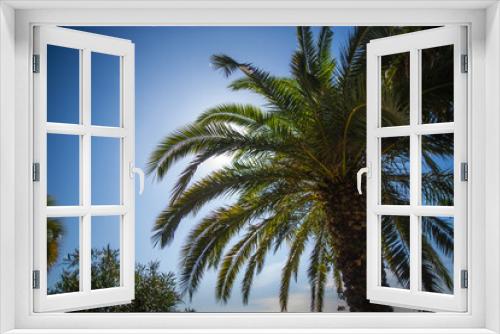 Fototapeta Naklejka Na Ścianę Okno 3D - Palm trees and their outlines against the blue sky