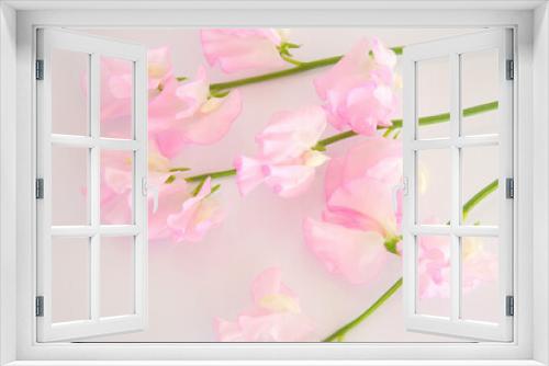 Fototapeta Naklejka Na Ścianę Okno 3D - ピンク色のスイトピー