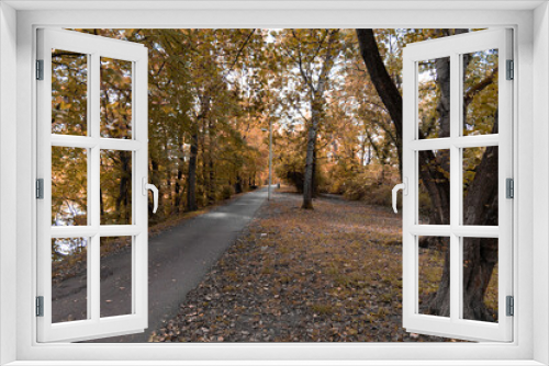 Fototapeta Naklejka Na Ścianę Okno 3D - Herbstliche Allee
