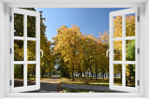 Fototapeta Naklejka Na Ścianę Okno 3D - A sunny day in the autumn park. Early Autumn, October, Ukraine, Kharkiv
