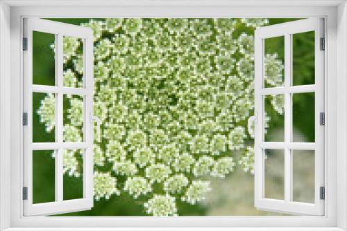 Fototapeta Naklejka Na Ścianę Okno 3D - vert