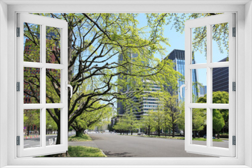 Fototapeta Naklejka Na Ścianę Okno 3D - 新緑と高層ビル