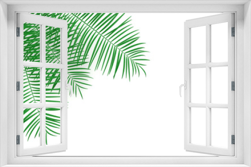 Fototapeta Naklejka Na Ścianę Okno 3D - Tropical palm leaves background. Summer tropical leaf. Exotic hawaiian jungle, summertime party design for trendy poster, flyer, banner, card, cover, brochure. 3d render.