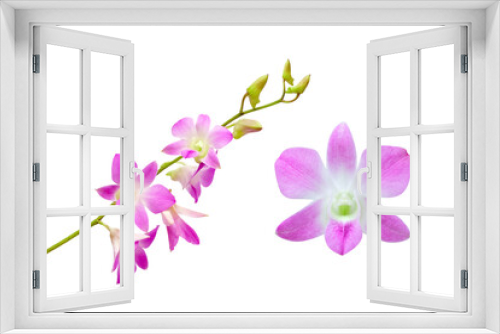 Fototapeta Naklejka Na Ścianę Okno 3D - purple orchid flower isolated on white background with clipping path