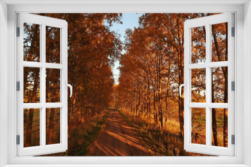 Fototapeta Naklejka Na Ścianę Okno 3D - autumn road top view, landscape in autumn with drone