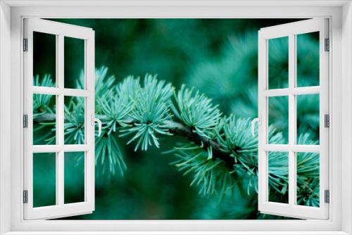 Fototapeta Naklejka Na Ścianę Okno 3D - Green pine branches coniferous needles background closeup..Blur