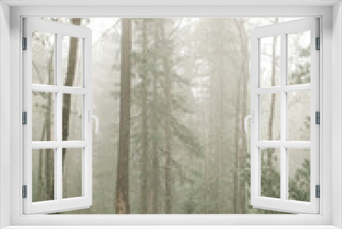 Fototapeta Naklejka Na Ścianę Okno 3D - Природа сибири