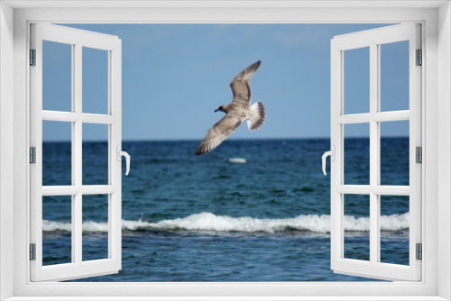 Fototapeta Naklejka Na Ścianę Okno 3D - A seagull flying over a wavy sea.