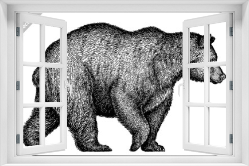 Fototapeta Naklejka Na Ścianę Okno 3D - black and white linear paint draw bear vector illustration
