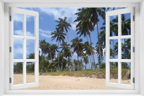 Fototapeta Naklejka Na Ścianę Okno 3D - COQUERAIAS ON THE BEACHES