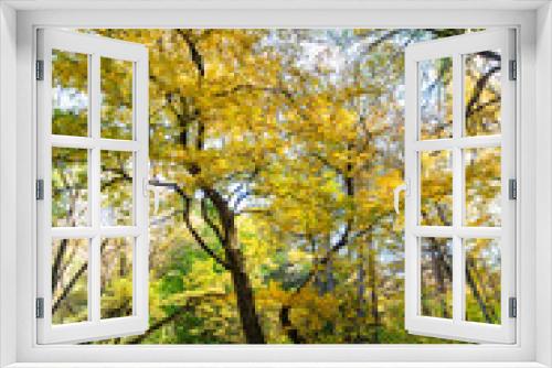 Fototapeta Naklejka Na Ścianę Okno 3D - Beautiful autumn landscape in Vanadzor's botanical garden