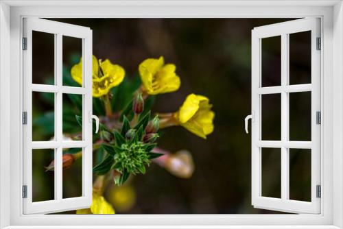 Fototapeta Naklejka Na Ścianę Okno 3D - Am Wegesrand
