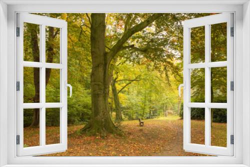 Fototapeta Naklejka Na Ścianę Okno 3D - Herbst im Münsterland