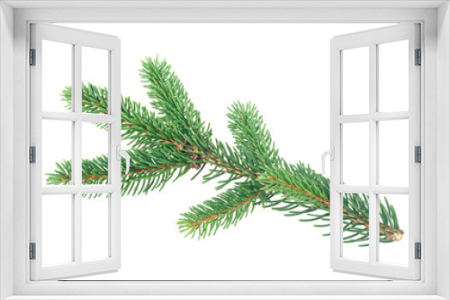 Fototapeta Naklejka Na Ścianę Okno 3D - Green fir branch isolated on a white background. Closeup of fir tree branch for Christmas.
