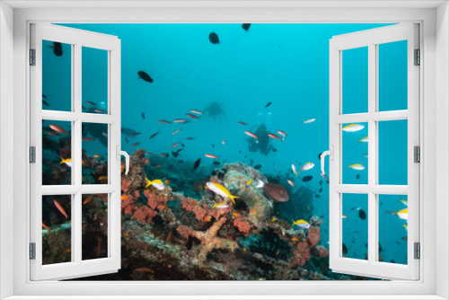 Fototapeta Naklejka Na Ścianę Okno 3D - Divers swimming over a shipwreck surrounded by small tropical fish in clear blue water