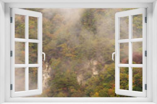 Fototapeta Naklejka Na Ścianę Okno 3D - 霧の中の紅葉