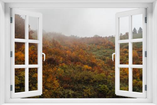 Fototapeta Naklejka Na Ścianę Okno 3D - 霧がかかる紅葉の風景