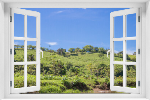 Fototapeta Naklejka Na Ścianę Okno 3D - Verdes montañas con altos arboles, cielo azul, paisaje natural, vida de campo, vida en la naturaleza