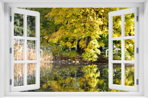 Fototapeta Naklejka Na Ścianę Okno 3D - jesień w parku