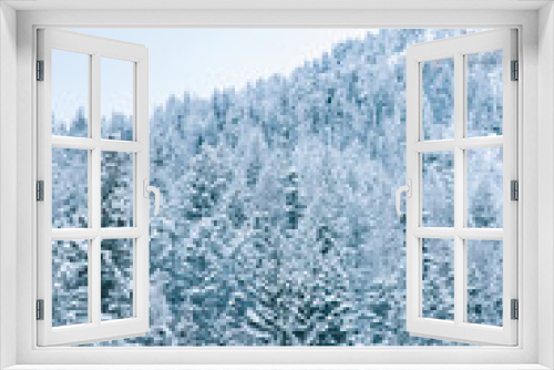 Fototapeta Naklejka Na Ścianę Okno 3D - snow dusted mountain trees