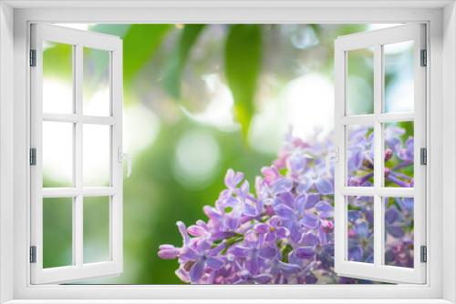 Fototapeta Naklejka Na Ścianę Okno 3D - Branch of blossoming purple lilac on a sunny day