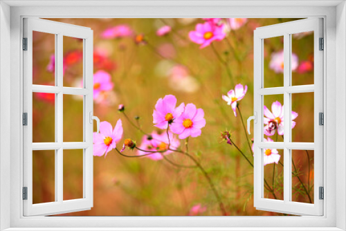Fototapeta Naklejka Na Ścianę Okno 3D - Gesang flowers