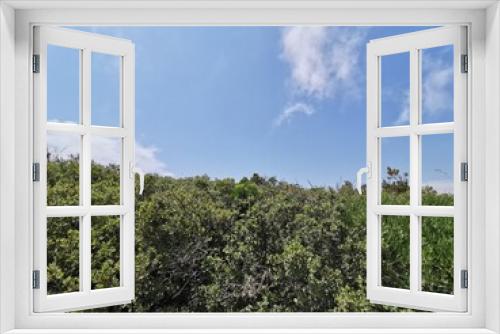 Fototapeta Naklejka Na Ścianę Okno 3D - Primer paso