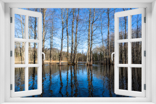 Fototapeta Naklejka Na Ścianę Okno 3D - Flooded soomaa bog in spring, fifth season