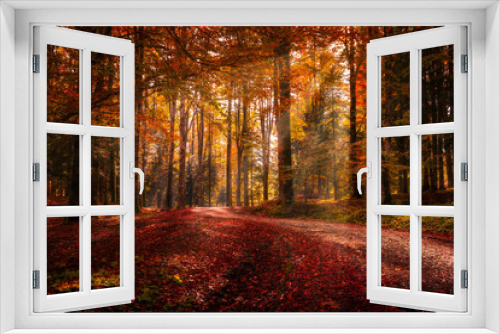 Fototapeta Naklejka Na Ścianę Okno 3D - Autumn foliage at the Cansiglio forest, Veneto region