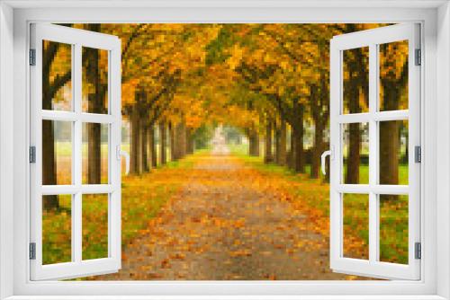 Fototapeta Naklejka Na Ścianę Okno 3D - Allee im Herbst mit Bäumen