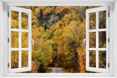 Fototapeta Naklejka Na Ścianę Okno 3D - Autumn landscape of trees in the national city park.