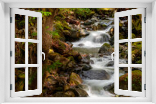 Fototapeta Naklejka Na Ścianę Okno 3D - Rain Forest Creek in the North Cascade Mountains. Fall season at Wells Creek, near Nooksack Falls, meandering through the woods with colorful leaves, cedar trees, and mossy boulders. 
