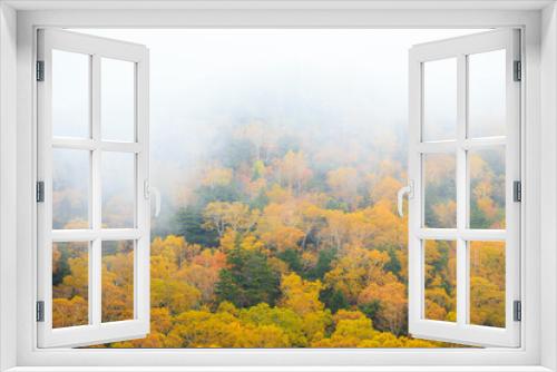 Fototapeta Naklejka Na Ścianę Okno 3D - autumn forest in the fog