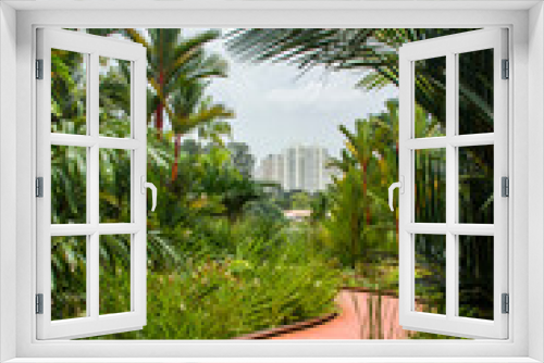 Fototapeta Naklejka Na Ścianę Okno 3D - Singapore Oct 23rd 2020: Rasau Walk in Jurong Lake Gardens. A meandering boardwalk along the water’s edge, enables visitors to get up close with nature. 