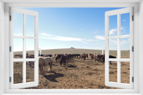 Fototapeta Naklejka Na Ścianę Okno 3D - Gobi Desert, Qaraqorum, Mongol. Oct. 2015