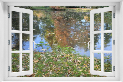 Fototapeta Naklejka Na Ścianę Okno 3D - Bild der Natur im Herbst