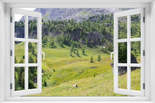 Fototapeta Naklejka Na Ścianę Okno 3D - Vallées parsemées de sapins