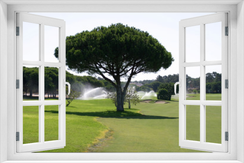 Fototapeta Naklejka Na Ścianę Okno 3D - Golfkurs