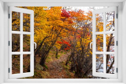 Fototapeta Naklejka Na Ścianę Okno 3D - Red leaves on Akagi mountain in Gunma prefecture Japan