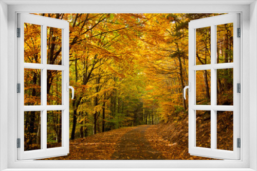 Fototapeta Naklejka Na Ścianę Okno 3D - Herbstlicher Mischwald in den Vogesen im Herbst