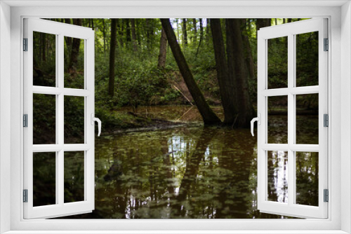 Fototapeta Naklejka Na Ścianę Okno 3D - river in forest