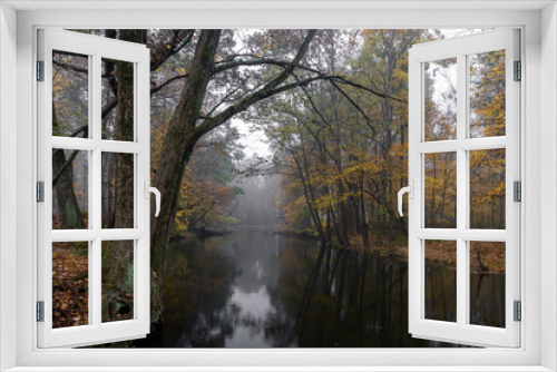 Fototapeta Naklejka Na Ścianę Okno 3D - Autumnal Fog