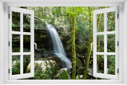 Fototapeta Naklejka Na Ścianę Okno 3D - Beautiful forest waterfall thailand the jungle green tree and plant detail nature in the rain forest with moss fern on the rock and trees water streams waterfalls flowing from the mountains