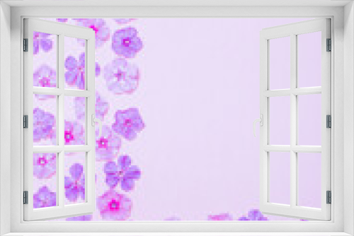 Fototapeta Naklejka Na Ścianę Okno 3D - phlox flowers on violet paper background