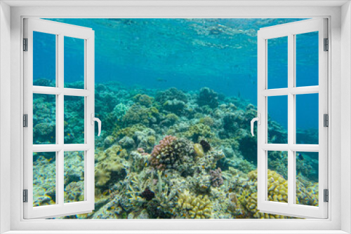 Fototapeta Naklejka Na Ścianę Okno 3D - Great Barrier Reef