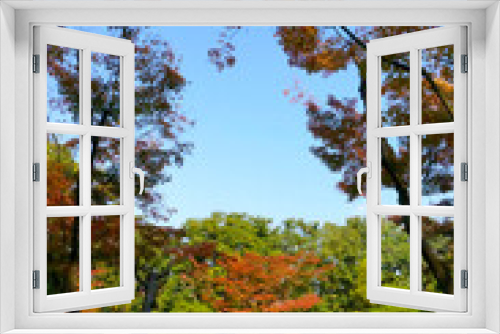Fototapeta Naklejka Na Ścianę Okno 3D - 庭園と紅葉